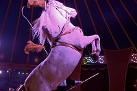 Bild: Circus Atlantik am Scheunenhof