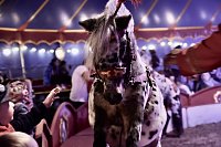 Bild: Circus Atlantik am Scheunenhof