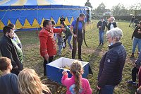 Bild: Circus Atlantik am Scheunenhof
