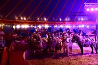 Bild: Circus Atlantik am Scheunenhof
