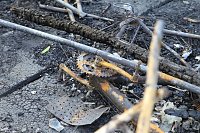 Bild: Brand am H&uuml;nstein
