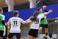 Bild: Die gro&szlig;en und kleinen Nordh&auml;user Handballer hatten zum Saisonstart viel zu tun