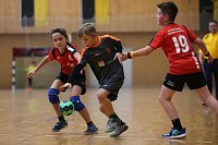 Bild: Die gro&szlig;en und kleinen Nordh&auml;user Handballer hatten zum Saisonstart viel zu tun