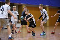 Bild: Die gro&szlig;en und kleinen Nordh&auml;user Handballer hatten zum Saisonstart viel zu tun