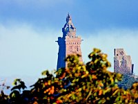Goldener Herbst Bild: Goldener Herbst