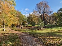 Bild: Aufr&auml;umarbeiten mit schwerem Ger&auml;t im Park Hohenrode