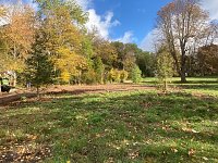 Bild: Aufr&auml;umarbeiten mit schwerem Ger&auml;t im Park Hohenrode