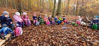 Kleine Spatzen erleben den Wald Bild: Kleine Spatzen erleben den Wald