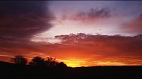 Sonnenaufgang bei Neustadt Bild: Sonnenaufgang bei Neustadt