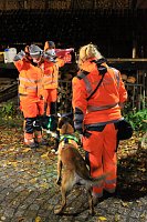 Suche war erfolgreich Bild: Suche war erfolgreich