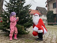 Bild: Ilfelder schm&uuml;cken Weihnachtsbaum