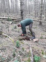 Pflanzaktion der Stadtwerke Wernigerode Bild: Pflanzaktion der Stadtwerke Wernigerode