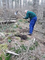 Pflanzaktion der Stadtwerke Wernigerode Bild: Pflanzaktion der Stadtwerke Wernigerode