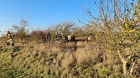 Ungewöhnlicher Einsatz Bild: Ungewöhnlicher Einsatz