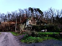 Nächtlicher Rundgang durch Neustadt Bild: Nächtlicher Rundgang durch Neustadt
