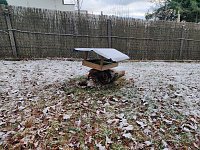 Am ersten Weihnachtsfeiertag in Sophienhof Bild: Am ersten Weihnachtsfeiertag in Sophienhof