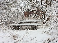 Bild: Ausflug nach Stiege