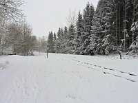 Bild: Ausflug nach Stiege