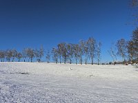 Bild: Winterliche Harzimpressionen