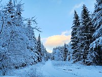 Bild: Peter Blei unterwegs in Benneckenstein