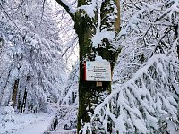 Bild: Peter Blei unterwegs in Benneckenstein