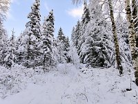 Bild: Peter Blei unterwegs in Benneckenstein