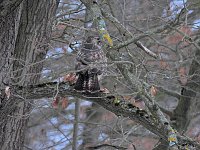 Bild: Peter Blei unterwegs bei Steigerthal