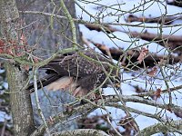 Bild: Peter Blei unterwegs bei Steigerthal
