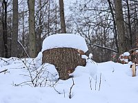 Bild: Peter Blei unterwegs bei Steigerthal