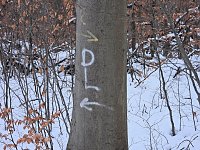 Bild: Peter Blei unterwegs bei Steigerthal