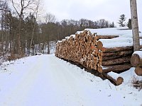 Bild: Peter Blei unterwegs bei Steigerthal