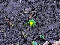 Bild: Impressionen im Park Hohenrode