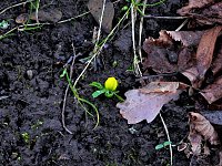 Bild: Impressionen im Park Hohenrode