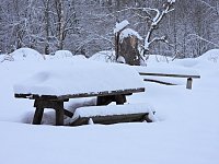 Bild: Peter Blei unterwegs im Schnee