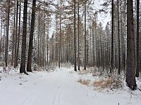 Bild: Peter Blei unterwegs im Schnee