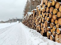 Bild: Peter Blei unterwegs im Schnee