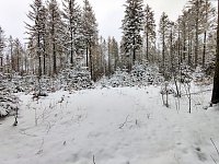 Bild: Peter Blei unterwegs im Schnee