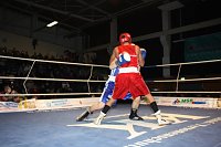 Bild: Dramatische Boxnach (1)