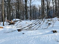 Ausflug zum Josephskreuz Bild: Ausflug zum Josephskreuz