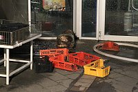 Bild: Feuerwehren im Einsatz an der Atrium-Passage