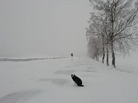 Winter in Sophienhof Bild: Winter in Sophienhof