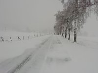 Winter in Sophienhof Bild: Winter in Sophienhof