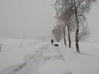 Winter in Sophienhof Bild: Winter in Sophienhof