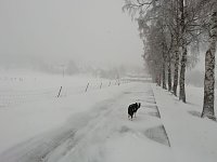 Winter in Sophienhof Bild: Winter in Sophienhof