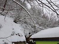 Steogerthal versinkt im Schnee Bild: Steogerthal versinkt im Schnee