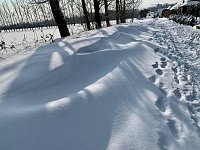 Bild: Winterspaziergang durch Nordhausen
