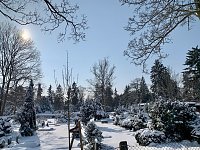Bild: Winterspaziergang durch Nordhausen