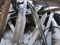 Bild: Rettung in der Not: in Lipprechterode konnten die freiwilligen Feuerwehren heute rund 350 Schafe bergen