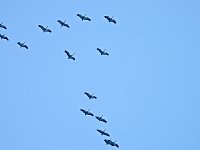 Bild: Peter Blei unterwegs in der Windl&uuml;cke