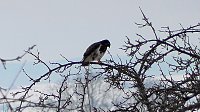 Bild: Winterzauber in der Goldenen Aue
